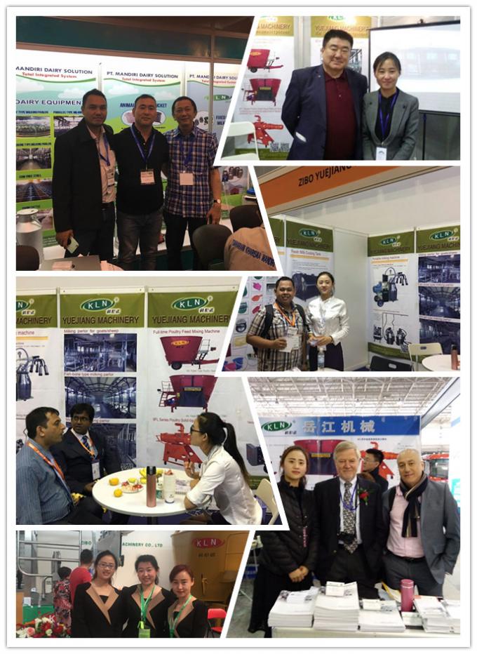 24-100 Nokta Balıksırtı Sağımhane Otomatik İnek Makinası Sistemi 11