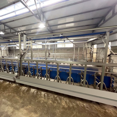 SUS304 Keçi Balıksırtı Sağımhane Besleme Teknesi Hızlı Çıkış Tipi Boru Hattı