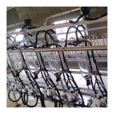 Paralel Hatlar 20T / H Balıksırtı Sağım Odası Otomatik Süt Makinesi