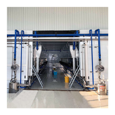 Dijital Ölçüm 220v 10 Üniteli Sağım Odası Balıksırtı Tipi