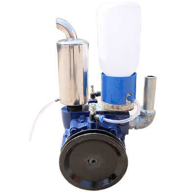 220V 90Kpa Döner Kanatlı Vakum Pompası anahtarı kayış tahrik