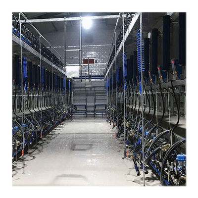 Süt Çiftliği İçin Pnömatik Tahrik Oranı 60/40 Küçük Ölçekli Sağım Salonu