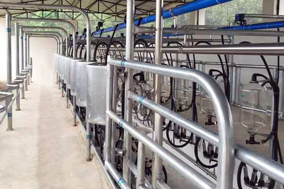 balıksırtı tipi 5T / h 20 Üniteli Sağım Odası Düşük Gürültülü Otomatik Sağım Odası