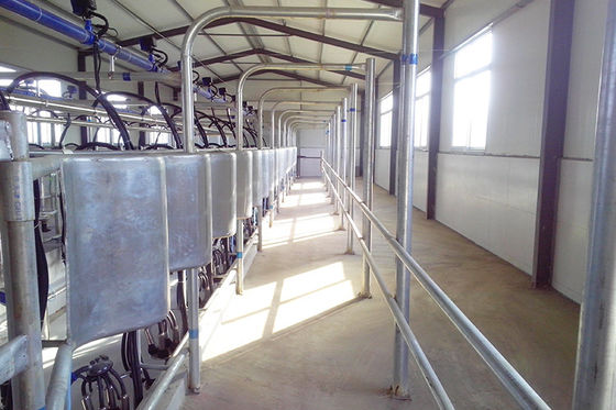 balıksırtı tipi 5T / h 20 Üniteli Sağım Odası Düşük Gürültülü Otomatik Sağım Odası