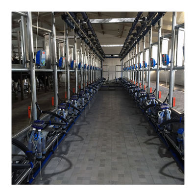 Süt Çiftliği İçin Çalışma Vakumu 50KPa 2.2kw Balıksırtı Sağım Makinesi