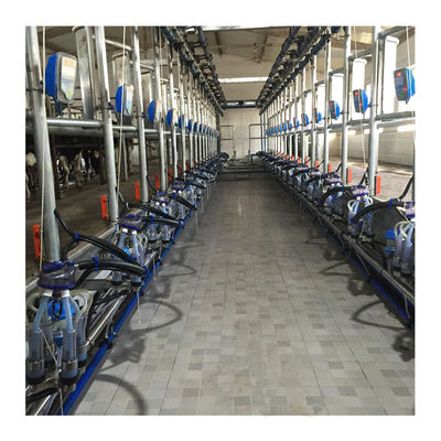 Süt Çiftliği İçin Çalışma Vakumu 50KPa 2.2kw Balıksırtı Sağım Makinesi