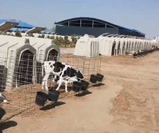 Galvaniz Hasır Uzunluğu 220cm Plastik Buzağı Barınakları Kolay Temizlenebilir
