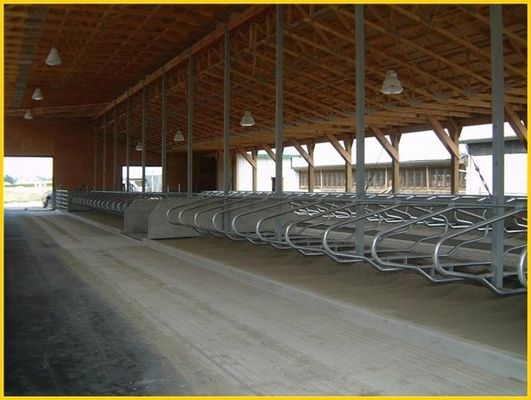 Baş Başa Tip 1.30m / inek Çit Sığır Serbest Durak Ayarlanabilir Boyut