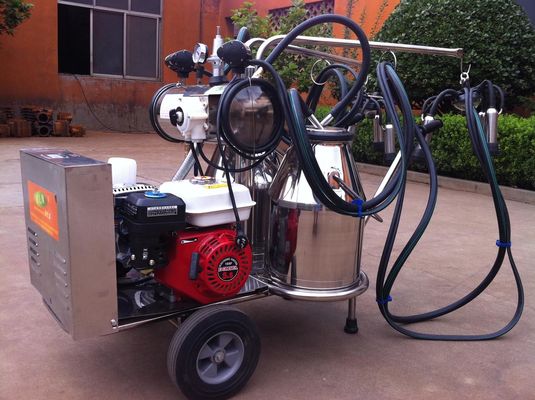 Benzinli Motorlu Taşınabilir Gıda Sınıfı SS Mobil Sağım Makinesi