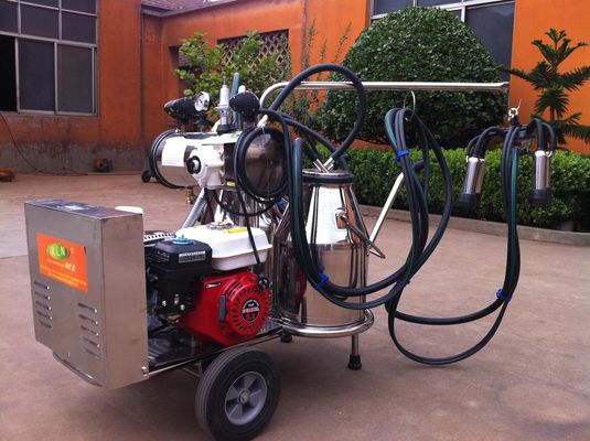 Benzinli Motorlu Taşınabilir Gıda Sınıfı SS Mobil Sağım Makinesi