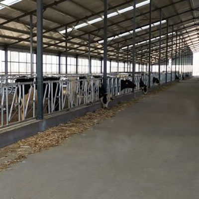 Sıcak Galvanizli Uzunluk 6m Sığır Baş Kilit Kapısı Korozyon Önleyici Boru