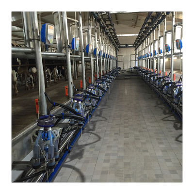 Yüksek Verimli 4KW Balıksırtı Sağım Salonu İnek Sütü Emme Makinesi