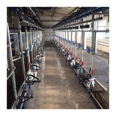 Yüksek Verimli 4KW Balıksırtı Sağım Salonu İnek Sütü Emme Makinesi