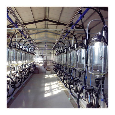 Elektronik 2300L / dak Keçi Sağım Odası Balık Kemik Tipi