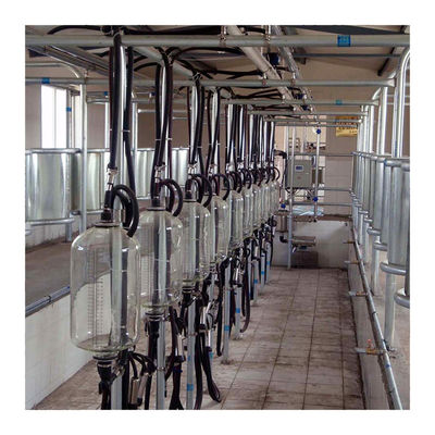 Gıda Sınıfı Camlı Süt Çiftliği 4KW Balıksırtı Sağım Salonu