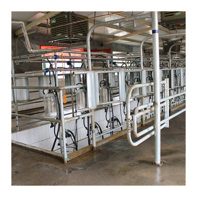 Gıda Sınıfı Camlı Süt Çiftliği 4KW Balıksırtı Sağım Salonu