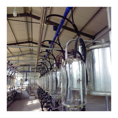 SS304 Balıksırtı Sağım Salonu PVC boru hattı Paralel Sağım Odası