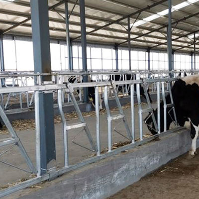 dinlenme yeri Kalınlık Sığır 8 Kafa İçin 3mm Baş Kilitleri Bir set