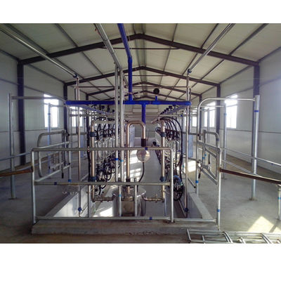 SS304 Balıksırtı Sağımhane Sağım Sistemleri Süt İnek Ekipmanları