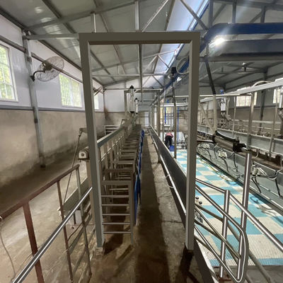 Dijital Elektrik Sayacı Koyun Keçi Sağımhane Yeni Durum Ekipmanları
