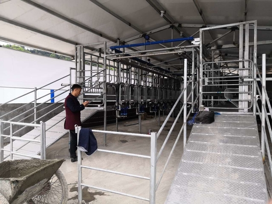 Süt Çiftliği Keçi Sağım Makinaları Paslanmaz Çelik Sağım Sistemi